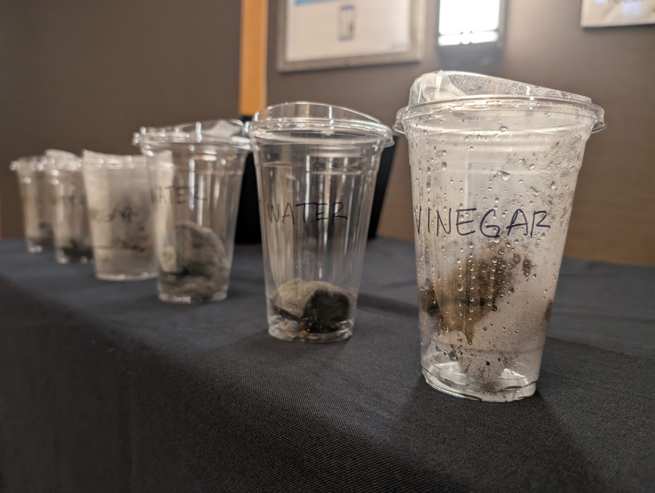 A row of cups on corrosion demonstration related to Project 2030.