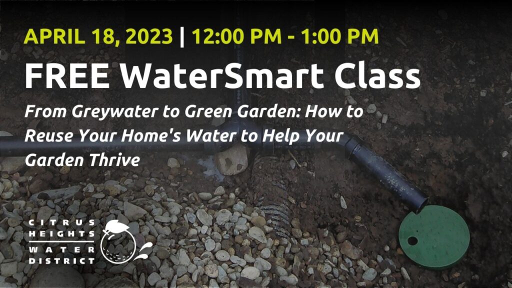 A graphic showing greywater system promoting the April 18, 2023 WaterSmart class on From Greywater to Green Garden.