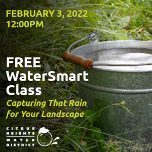 February 3, 2022. 12:00PM. Free WaterSmart Class. Capturing That Rain for Your Landscape. Citrus Heights Water District logo.
