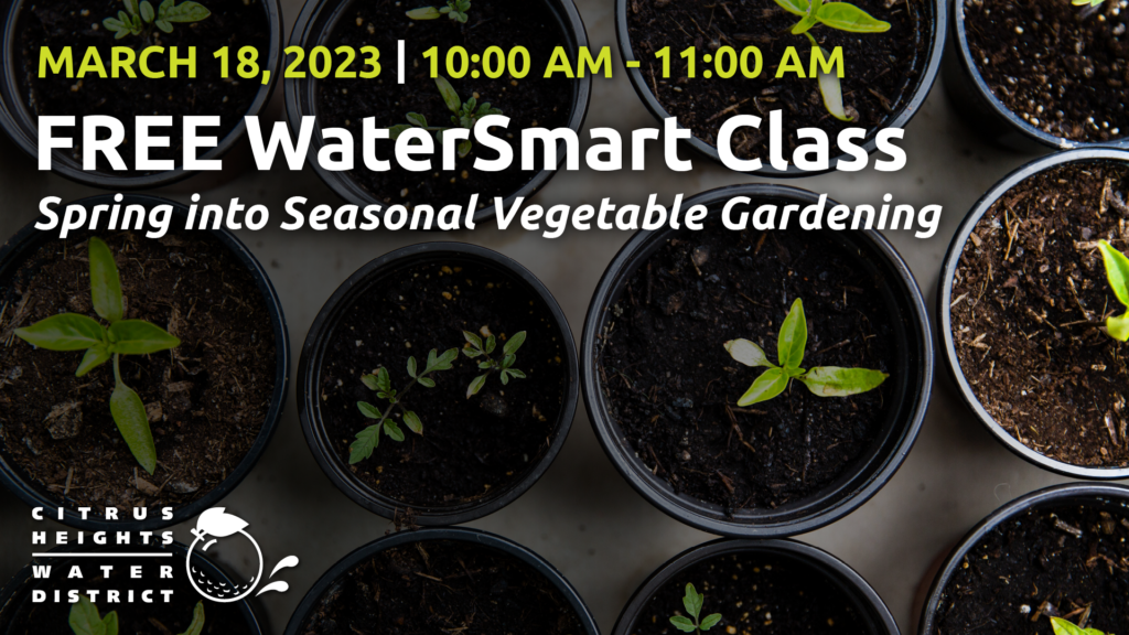 A graphic with image of plants in nursery pots highlighting the March 18, 2023 WaterSmart class on Spring into Seasonal Vegetable Gardening.