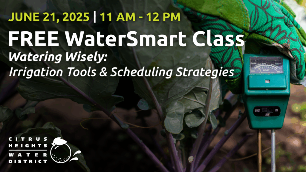 Watering Wisely: Irrigation Tools & Scheduling Strategies 1