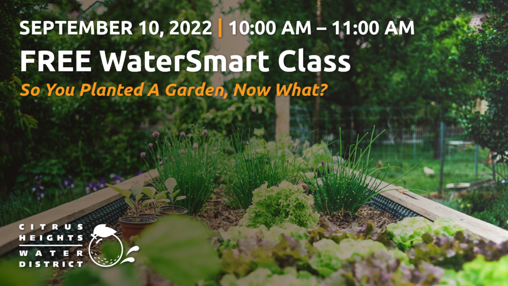 September 10, 2022. 10:00 AM to 11:00 AM. Free WaterSmart Class. So You Planted a Garden, Now What? Image of plants and flowers in the background. Citrus Heights Water District logo.