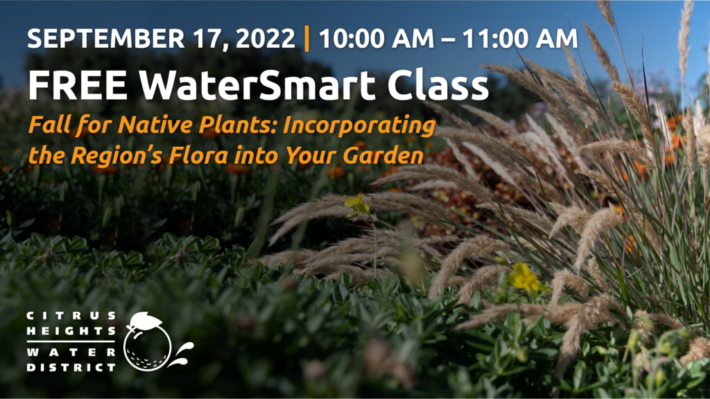 September 17, 2022. 10:00 AM to 11:00 AM. Free WaterSmart Class. Fall for Native Plants. Incorporating the Region’s Flora into Your Garden. Image of plants and flowers in the background. Citrus Heights Water District logo.