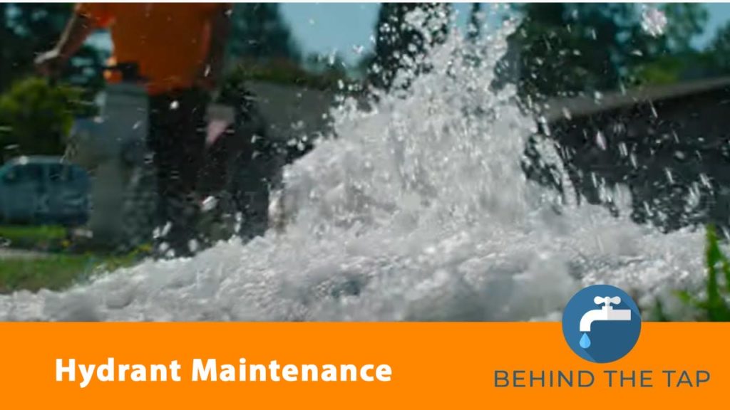 Behind the Tap | Hydrant Maintenance – Flushing the System