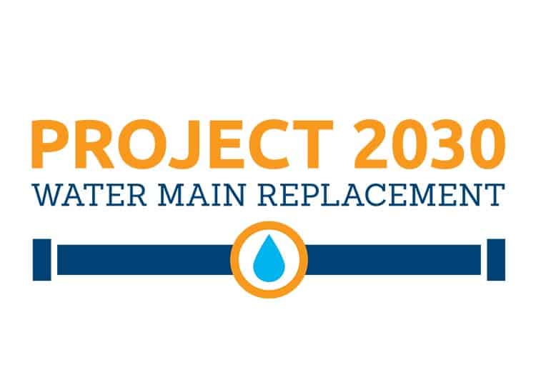 Project 2030 Logo