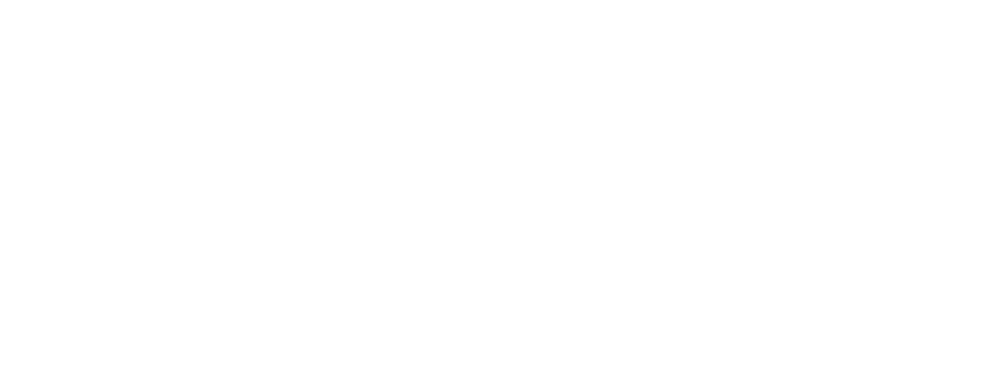 Project 2030