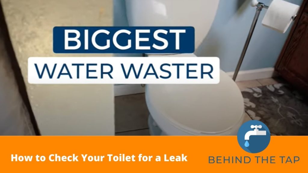 Behind the Tap | How to check your toilet for a leak 31