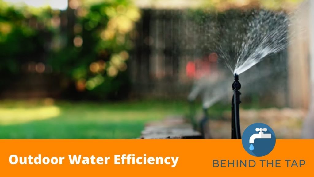 Behind the Tap | Outdoor Water Efficiency 49