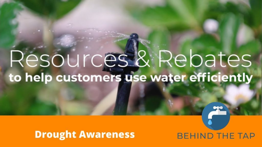 Behind the Tap | Drought Awareness 9