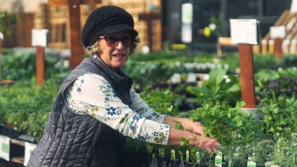 how-to h2o | How to Plant an Herb Garden 11