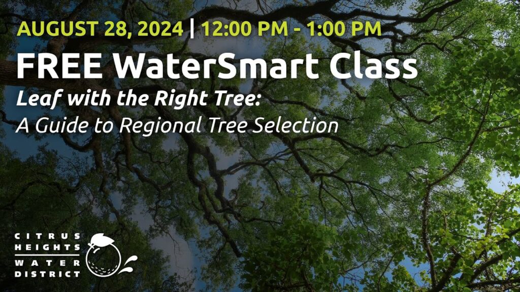 Leaf with the Right Tree: A Guide to Regional Tree Selection 5