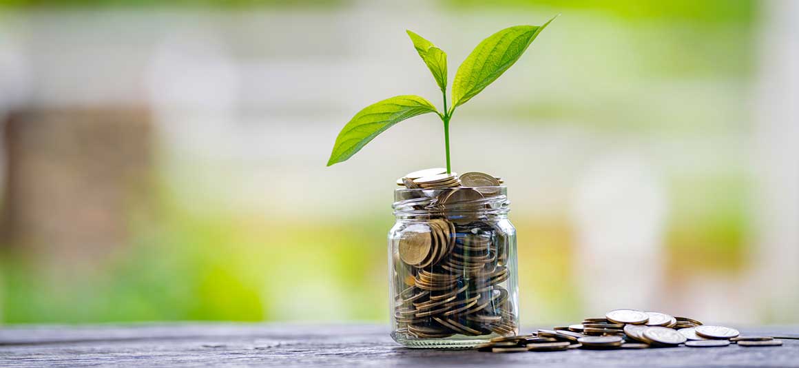 Plant growing from glass of coins