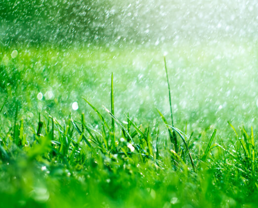 closeup of green grass under sprinkler